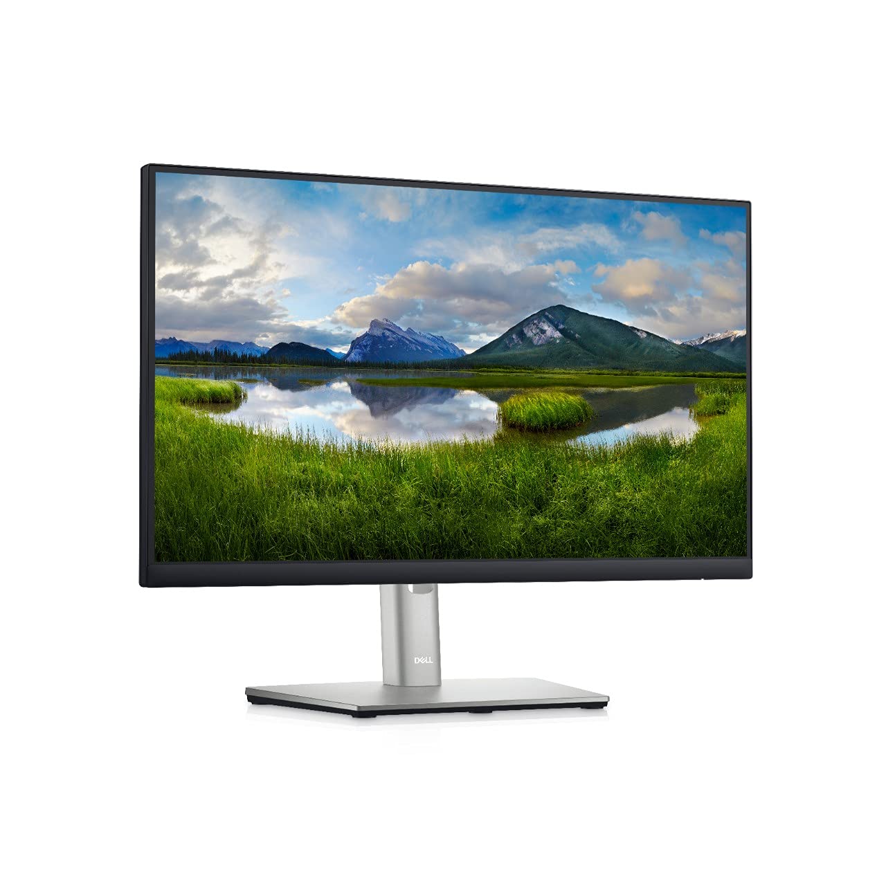 MONITOR DELL P2222H 22"