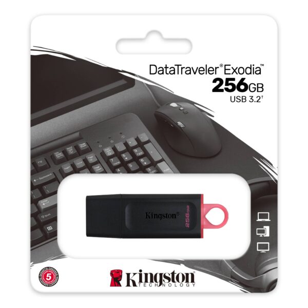 Pendrive Kingston DTX 256GB (3.2)